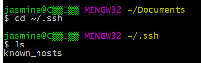 检查是否生成 ssh key