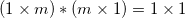 \small (1 \times m) *(m \times 1)=1 \times 1