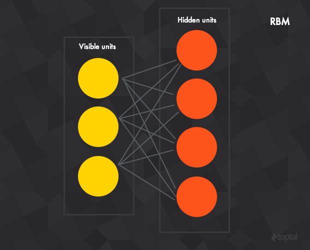 In machine learning, Restricted Botlzmann Machines are composed of visible and hidden units.