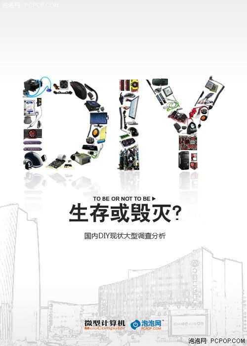 生存或毁灭?国内DIY现状大型调查分析