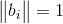 \begin{Vmatrix} b_{i} \end{Vmatrix}=1