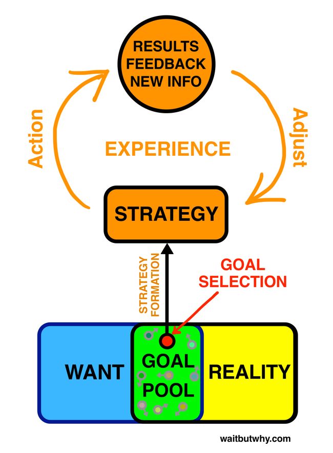 Software - Strategy Loop