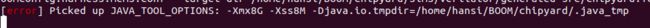 [error] Picked up JAVA_TOOL_OPTIONS