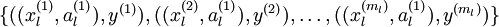 \textstyle \{((x_l^{(1)}, a_l^{(1)}), y^{(1)}), ((x_l^{(2)}, a_l^{(1)}), y^{(2)}), \ldots, ((x_l^{(m_l)}, a_l^{(1)}), y^{(m_l)}) \}