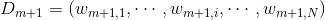 D_{m+1} = (w_{m+1,1},\cdots,w_{m+1,i},\cdots, w_{m+1,N})