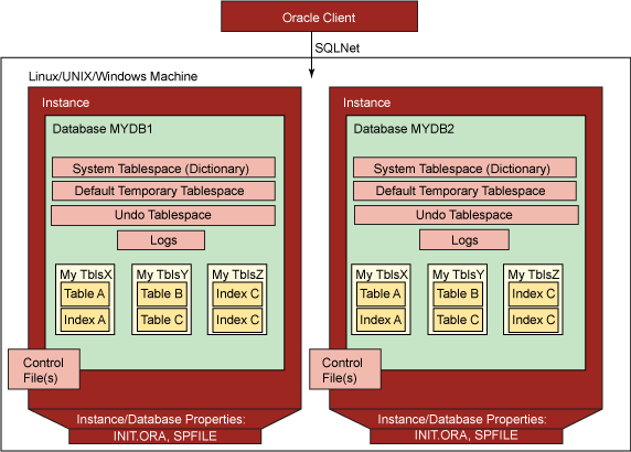 图 1. Oracle on Linux, UNIX, and Windows Version 10.2 的系统结构