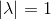 \left | \lambda \right |=1