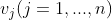 v_{j}(j=1,...,n)