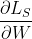 \frac{\partial L_S}{\partial W}