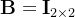 \mathbf{B} = {\bf I}_{2 \times 2}