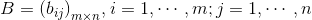 B = {\left( {{b_{ij}}} \right)_{m \times n}},i = 1, \cdots ,m;j = 1, \cdots ,n