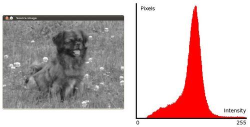 ../../../../../_images/Histogram_Equalization_Theory_0.jpg