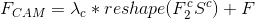 F_{CAM}=\lambda_{c}*reshape(F^{c}_{2}S^{c})+F