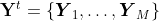 \mathbf{Y}^{t}=\left\{\boldsymbol{Y}_{1}, \ldots, \boldsymbol{Y}_{M}\right\}