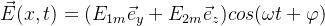 \vec E(x,t)=(E_{1m} \vec e_y+E_{2m} \vec e_z)cos(\omega t+\varphi)