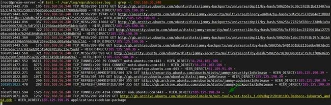 Grep-Proxy-Logs-Ubuntu-Machine