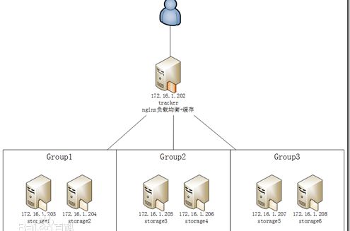 图片来自网络