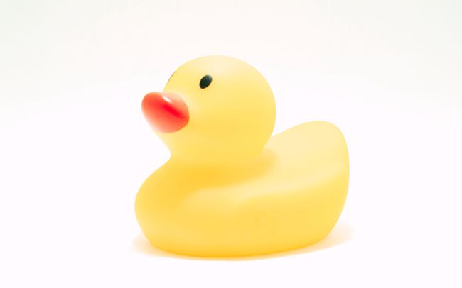 Yellow Duck