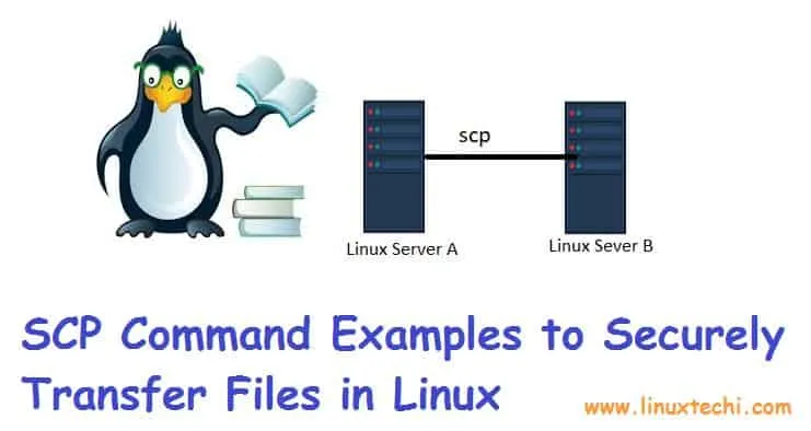 Linux 中使用 SCP 命令安全复制文件_第1张图片