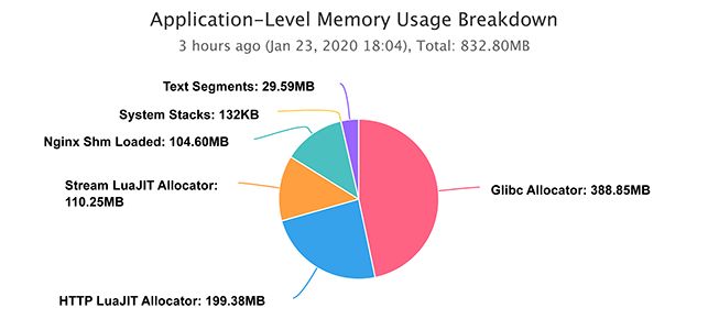 Application-Level Memory Usage Breakdown for an Nginx Worker Process