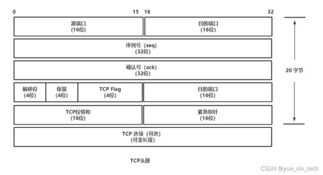 TCP 头部