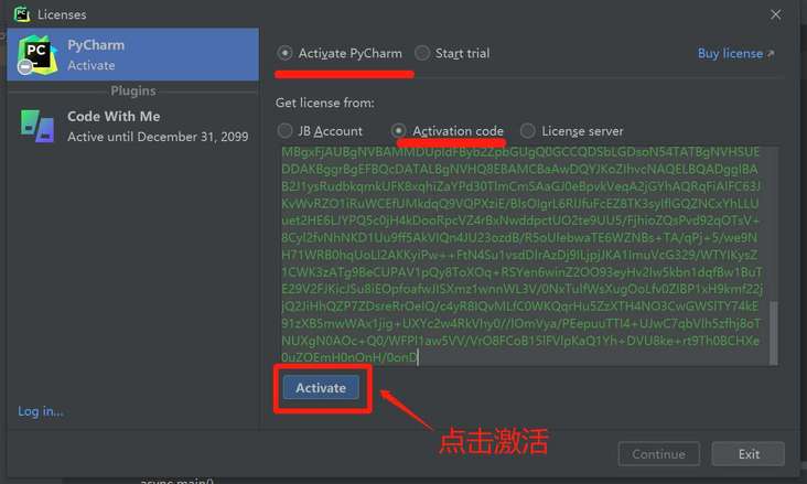 填入 Pycharm 2022.2.3 激活码