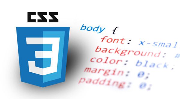 CSS.jpg