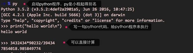 逐行调用python程序