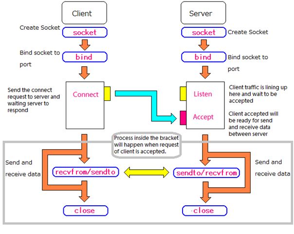 main pipeline of socket programming