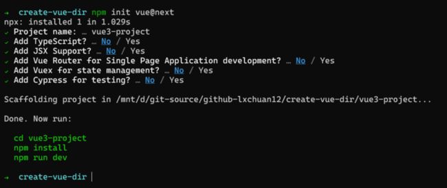 npm init vue@next