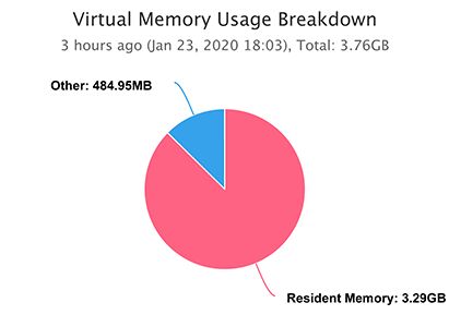 Virtual Memory Usage Breakdown for an Nginx Worker Process