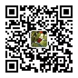 【数据分析 R语言实战】学习笔记 第五章 数据的描述性分析（上）