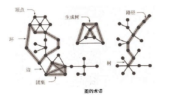 图算法系列-图的简单实现