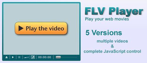 FLVPlayer