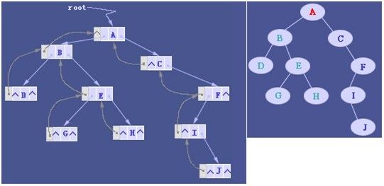 二叉树的三叉链表存储和基本操作