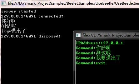 使用Beetle简单构建高性能Socket tcp应用