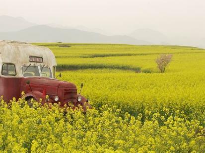 Blog的芳香之旅