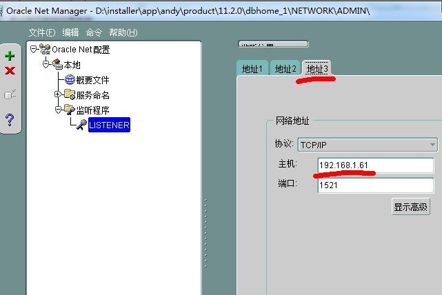 oracle 11g ERROR