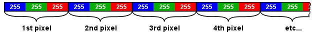 Delphi TBitmap Scanline