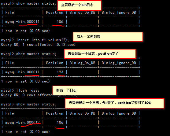 MYSQL bin-log日志（原创） - 爱编程的C小峰 - __kelly_