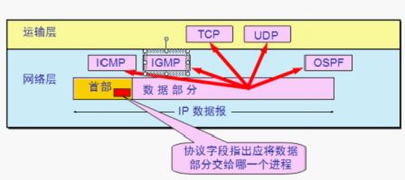 (网络层)IP 协议首部格式与其配套使用的四个协议(ARP,RARP,ICMP,IGMP)_第3张图片