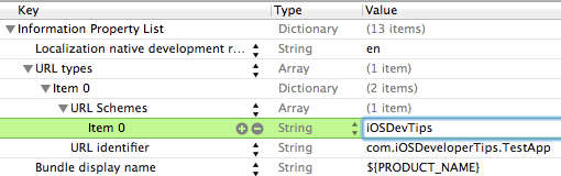 iOS Custom URL Scheme