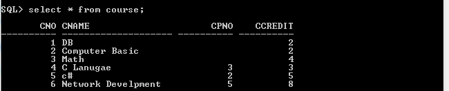 跟我一起学Oracle 11g【7】----SQL 基础学习