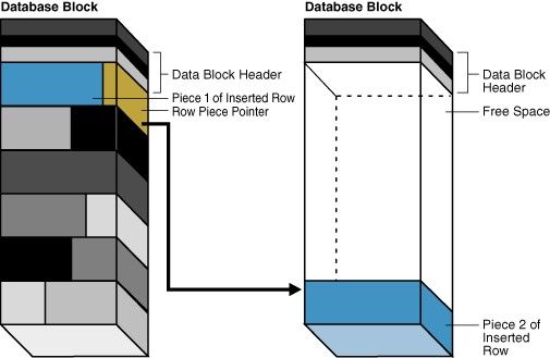 Oracle 数据块 Block 说明