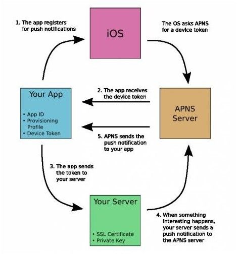 WebSphere MQ 入门指南