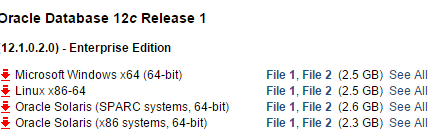 oracle12c及PLSQL Developer安装全程记录