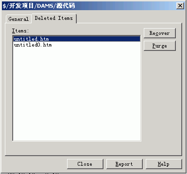 实战DW MX和VSS开发Web项目