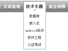 非常实用的下拉菜单