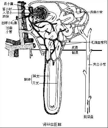 身体求救信号