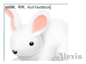 Expression Blend 设置RichTextBox的背景图片